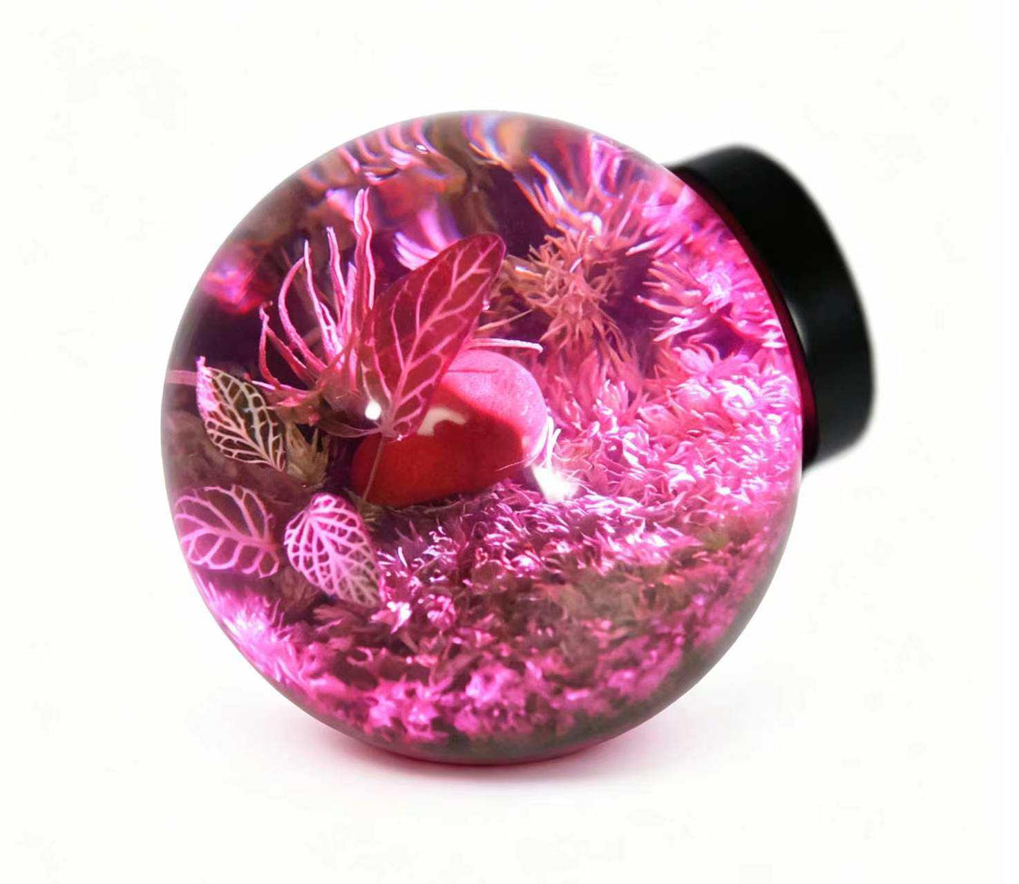 Preserved moss forest resin door knob with purple LED light, dreamy and romantic glowing door handle for luxury and whimsical home decor, SunKnob nature-inspired art hardware