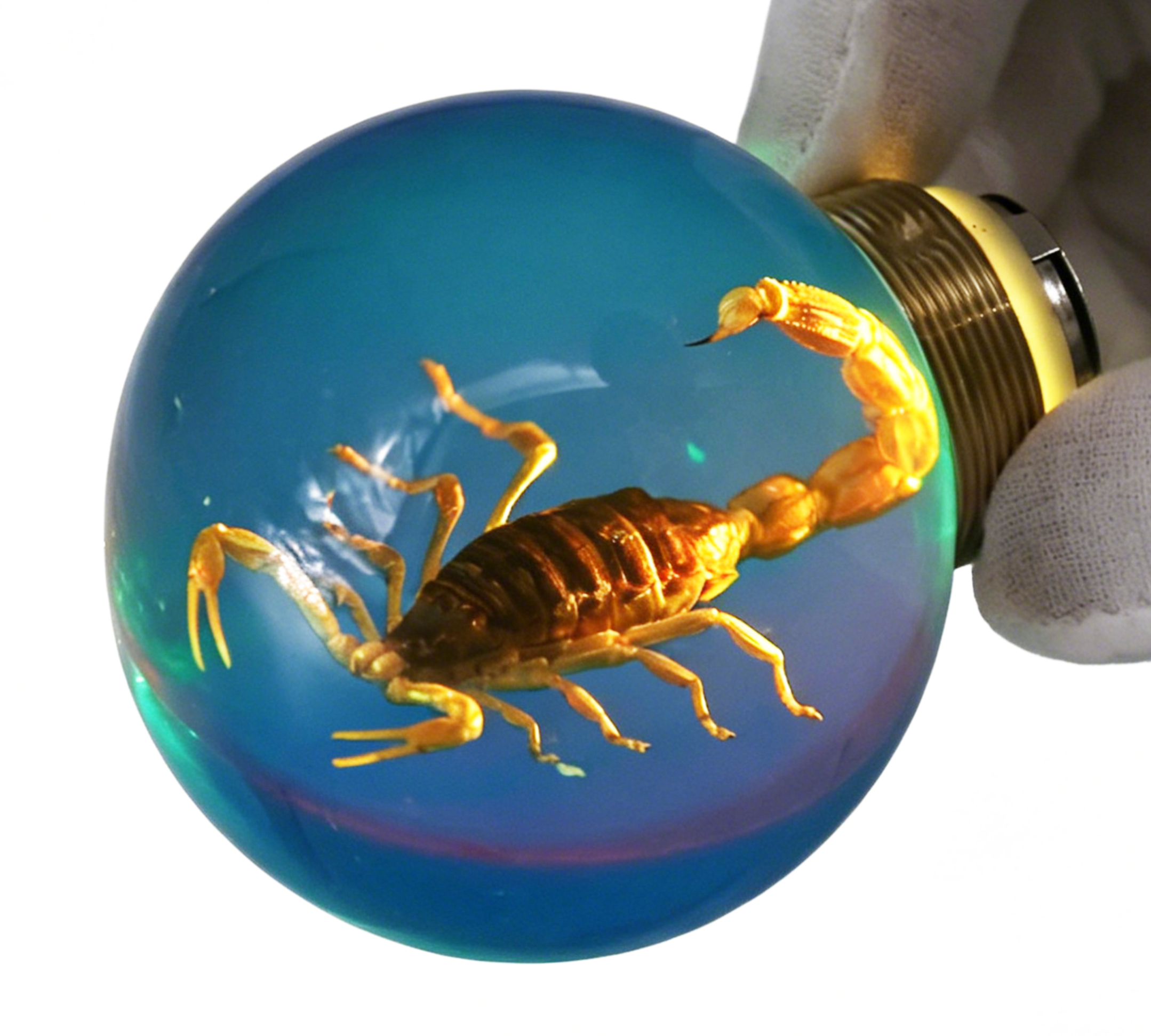 Scorpion Resin Door Handle Accessory Emitting a Warm Yellow Glow