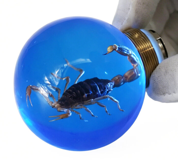 Scorpion Resin Door Handle with Blue Illumination Scorpion Resin Door Handle Accessories with Blue Illumination