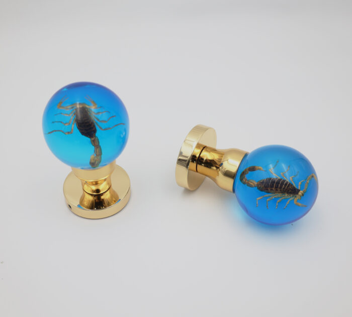 20 Handmade Real Scorpion Specimen Resin Door Knob | Decorative Replacement Interior Door Hardware - Image 16