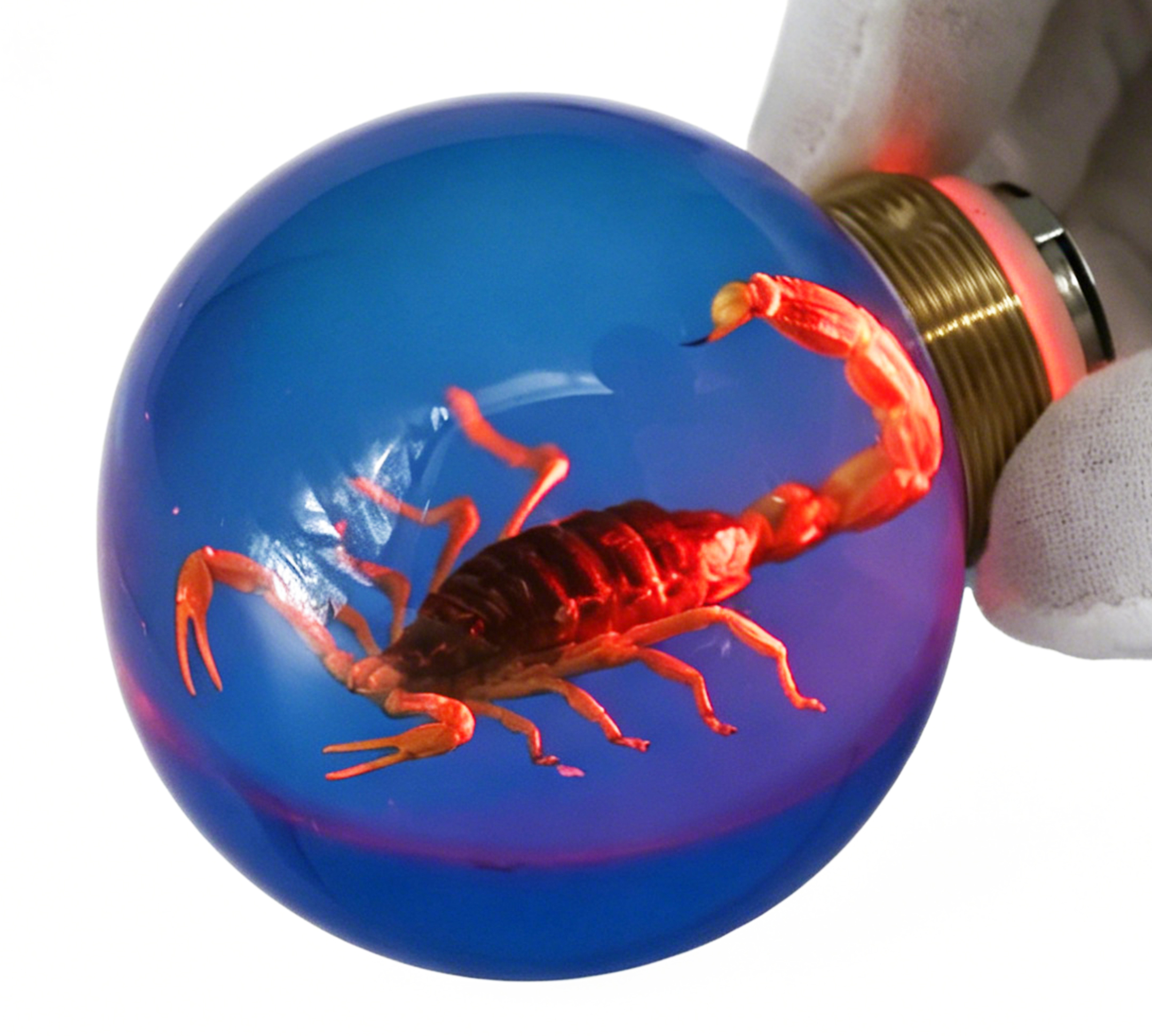 Scorpion Resin Door Handle Accessories with Red Illumination