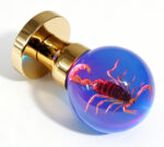 Resin Door Knob with Embedded Scorpion and Pink Illumination, Mounted on a Round Gold Brass Base