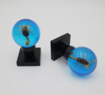 Handmade Real Scorpion Specimen Resin Door Knob | Decorative Replacement Interior Door Hardware - Image 11