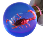 Scorpion Resin Door Handle Accessory (Emitting Pink Light)