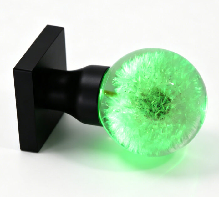 Dandelion Resin Door Handle with Cyan Illumination Dandelion Resin Door Knob Emitting Cyan Light, Mounted on a Square Black Brass Base