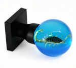 Specimen Scorpion Resin Door Knob with Cyan Illumination, Mounted on a Square Black Brass Base