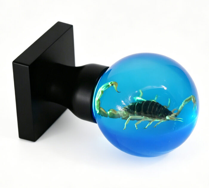 Scorpion Resin Door Handle with Cyan Illumination Specimen Scorpion Resin Door Knob with Cyan Illumination, Mounted on a Square Black Brass Base