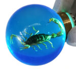 Scorpion Resin Door Handle Accessories with Green Illumination