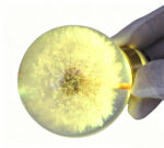 Preserved Dandelion LED Door Knob Spare Part