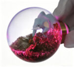 Elephant Forest Art Resin Door Knobs Spare Part