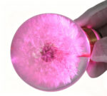 Preserved Dandelion LED Door Knob Spare Part - Image 3