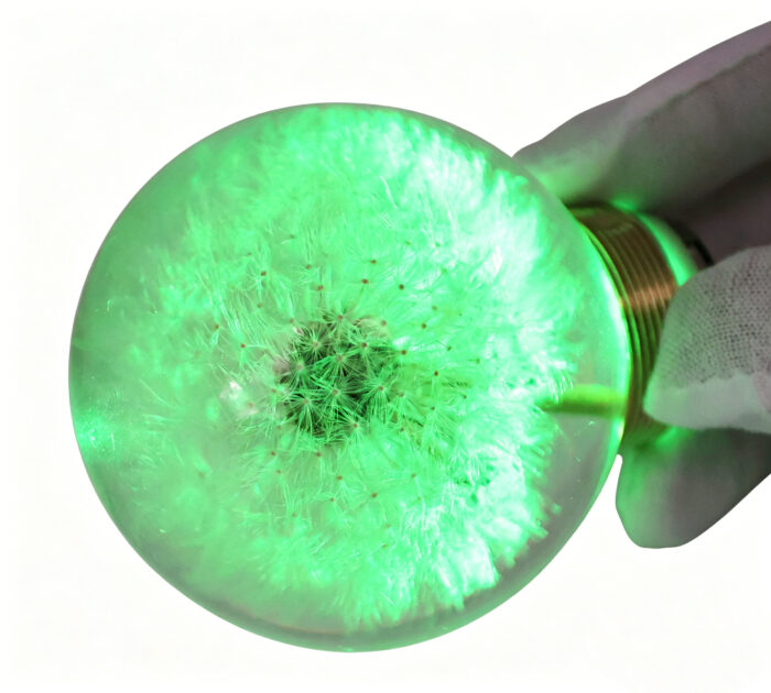 生成修复球头图片 22 Preserved Dandelion LED Door Knob Spare Part - Image 4