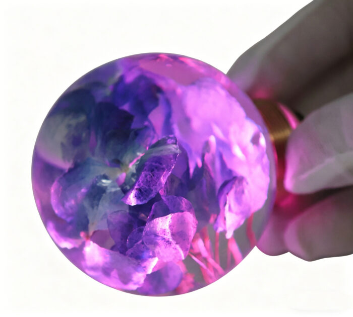 生成修复球头图片 9 Preserved Hydrangea LED Door Knob Spare Part - Image 2